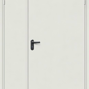 Противопожарная дверь RAL 7035 / серия FRM55554